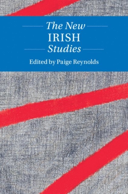 Paige Reynolds - New Irish Studies, E-bok