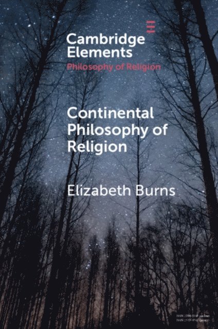 Elizabeth Burns - Continental Philosophy of Religion, E-bok