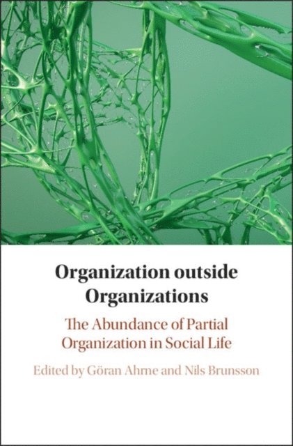 Nils Brunsson, Goran Ahrne - Organization outside Organizations, E-bok