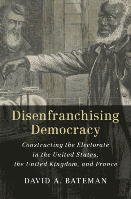David A. Bateman - Disenfranchising Democracy, E-bok