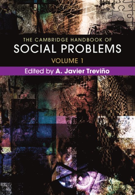 A. Javier Trevino - Cambridge Handbook of Social Problems: Volume 1, E-bok