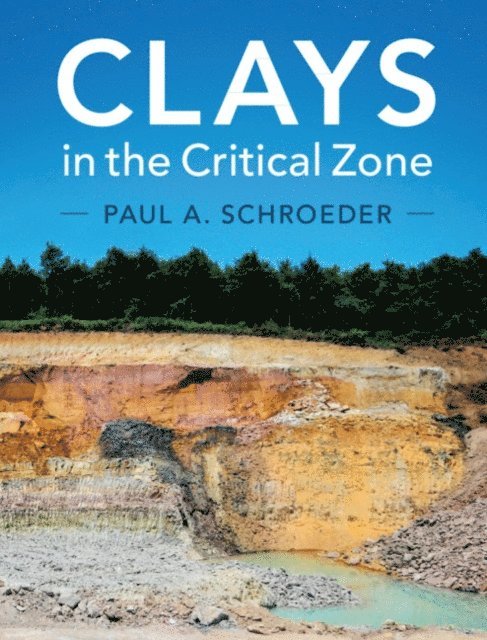 Paul A. Schroeder - Clays in the Critical Zone, E-bok