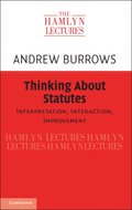 Thinking about Statutes