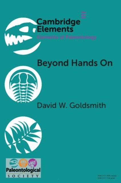 David W. Goldsmith - Beyond Hands On, E-bok