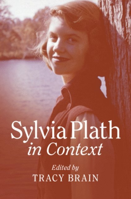 Tracy Brain - Sylvia Plath in Context, E-bok