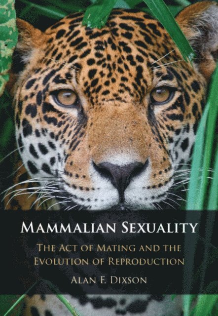 Alan F. Dixson - Mammalian Sexuality, E-bok. Tillgänglighet: Lägg i varukorg
