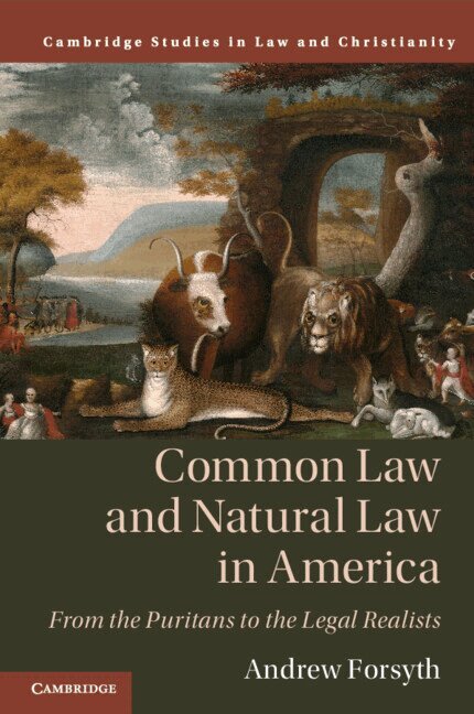 Andrew Forsyth - Common Law and Natural Law in America, Häftad