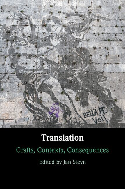 Jan Steyn - Translation, Häftad