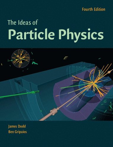 The Ideas of Particle Physics av James E Dodd, Ben Gripaios, James E Dodd, Ben Gripaios