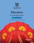 Cambridge IGCSE(TM) Mandarin Workbook