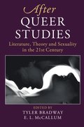 After Queer Studies
