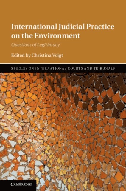 Christina Voigt - International Judicial Practice on the Environment, E-bok
