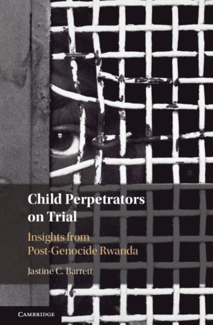 Jastine C. Barrett - Child Perpetrators on Trial, E-bok