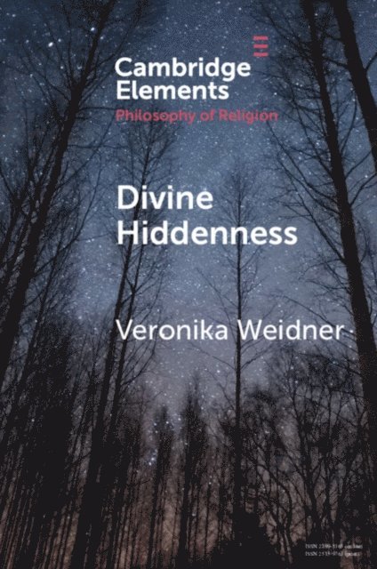 Veronika Weidner - Divine Hiddenness, E-bok