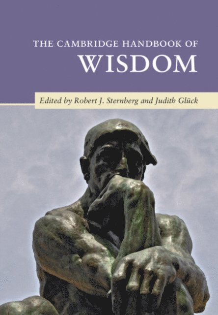 Judith Gluck, Robert J. Sternberg - Cambridge Handbook of Wisdom, E-bok