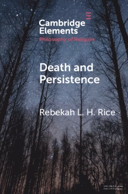 Rebekah L. H. Rice - Death and Persistence, E-bok
