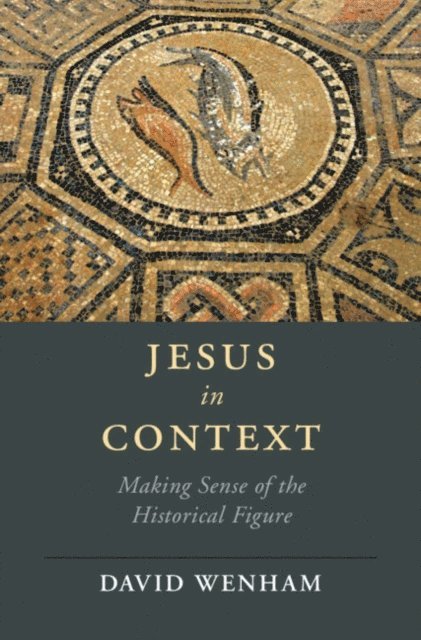 David Wenham - Jesus in Context, E-bok