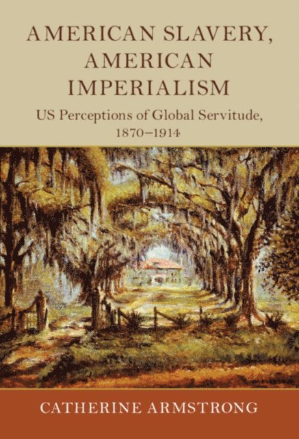 Catherine Armstrong - American Slavery, American Imperialism, E-bok