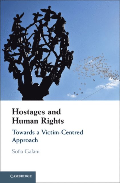 Sofia Galani - Hostages and Human Rights, E-bok