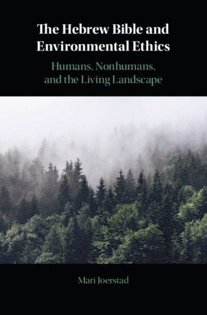 Mari Joerstad - Hebrew Bible and Environmental Ethics, E-bok