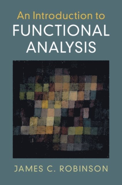 James C. Robinson - Introduction to Functional Analysis, E-bok