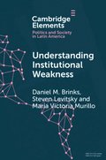 Understanding Institutional Weakness