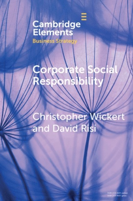 David Risi, Christopher Wickert - Corporate Social Responsibility, E-bok