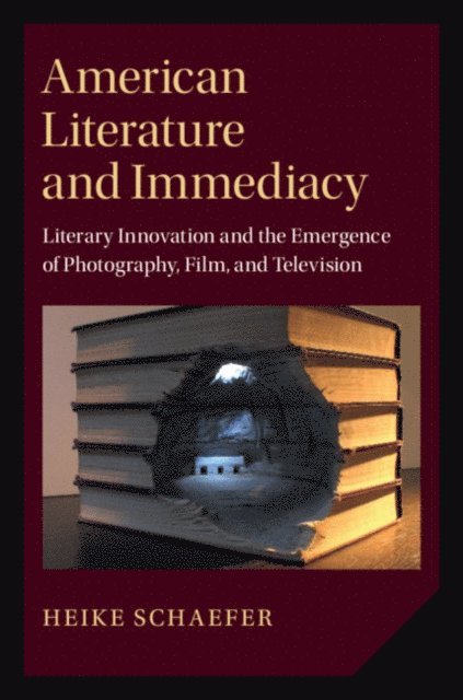Heike Schaefer - American Literature and Immediacy, E-bok