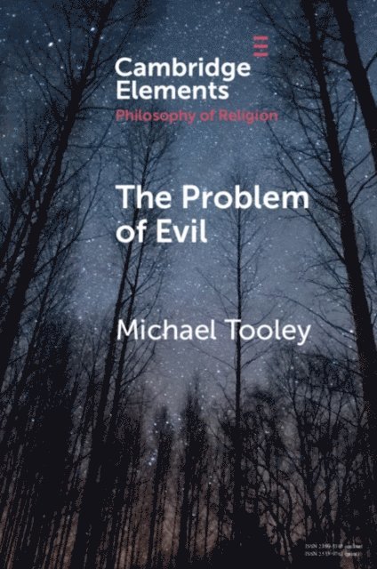 Michael Tooley - Problem of Evil, E-bok