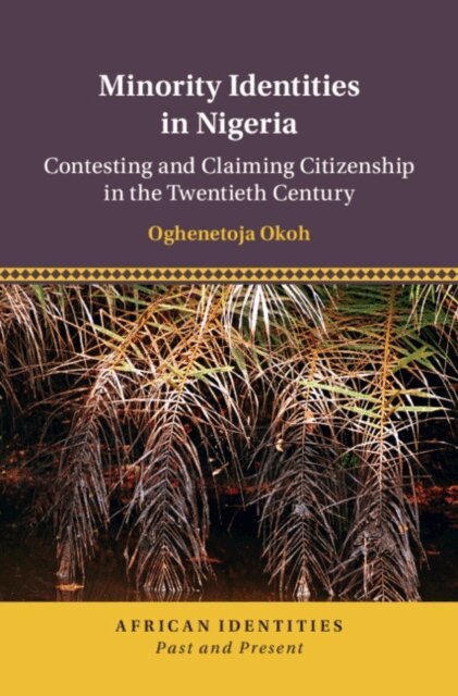 Oghenetoja Okoh - Minority Identities in Nigeria, E-bok