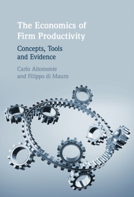 Filippo di Mauro, Carlo Altomonte - Economics of Firm Productivity, E-bok