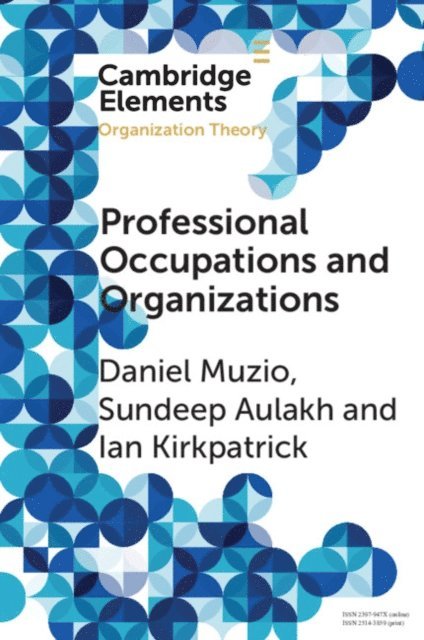 Ian Kirkpatrick, Sundeep Aulakh, Daniel Muzio - Professional Occupations and Organizations, E-bok