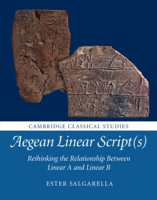 Ester Salgarella - Aegean Linear Script(s), E-bok