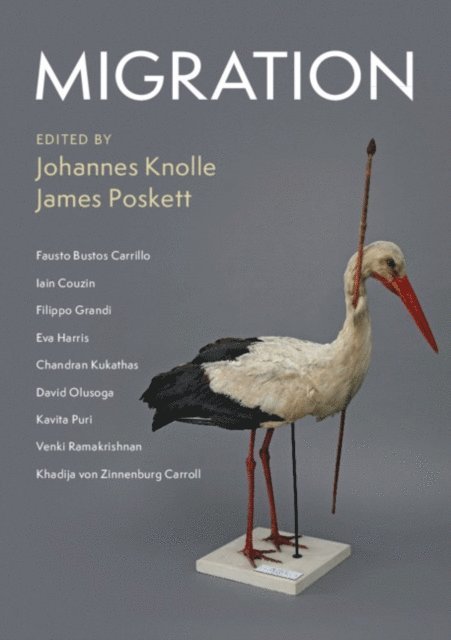 James Poskett, Johannes Knolle - Migration, E-bok