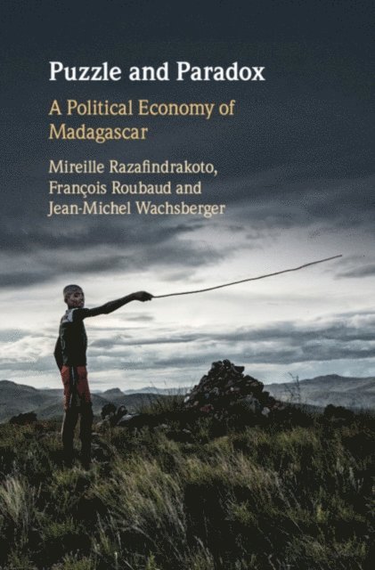 Jean-Michel Wachsberger, Francois Roubaud, Mireille Razafindrakoto - Puzzle and Paradox, E-bok