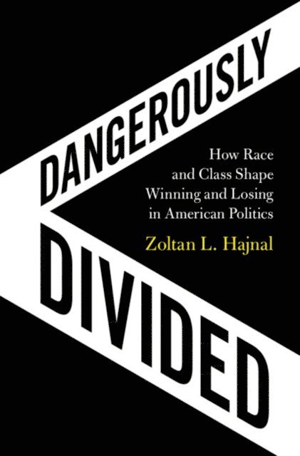 Zoltan L. Hajnal - Dangerously Divided, E-bok