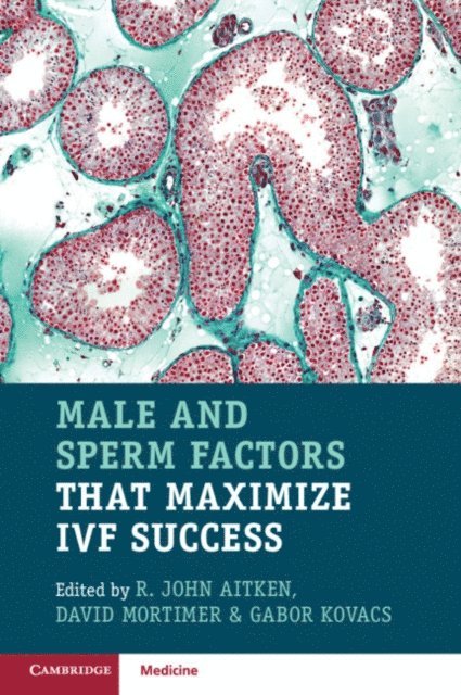 Gabor Kovacs, David Mortimer, R. John Aitken - Male and Sperm Factors that Maximize IVF Success, E-bok