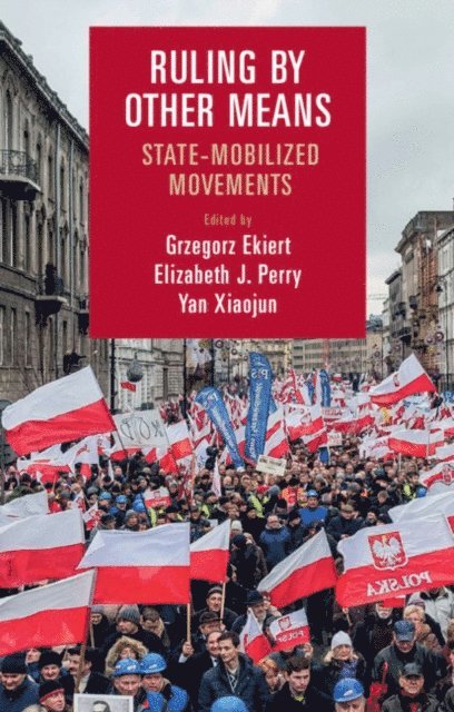 Xiaojun Yan, Elizabeth J. Perry, Grzegorz Ekiert - Ruling by Other Means, E-bok