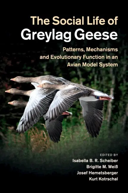 Isabella B. R. Scheiber, Brigitte M. Weiß, Josef Hemetsberger, Kurt Kotrschal - The Social Life of Greylag Geese, Häftad. Tillgänglighet: Lägg i varukorg