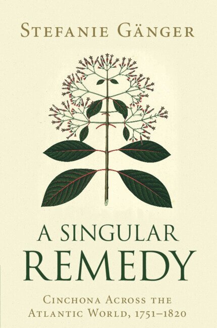 Stefanie Gänger - A Singular Remedy, Häftad