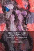 The Prosthetic Imagination
