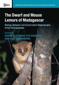 Dwarf and Mouse Lemurs of Madagascar