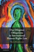 Due Diligence Obligations in International Human Rights Law