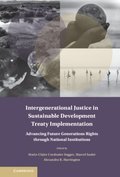 Intergenerational Justice in Sustainable Development Treaty Implementation