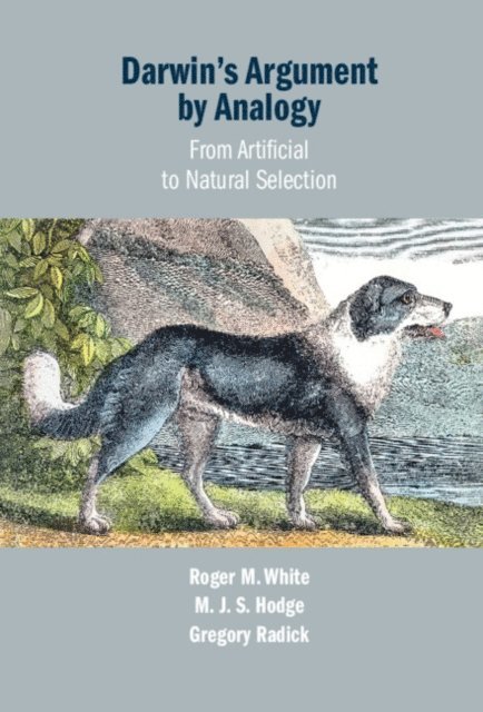 Gregory Radick, M. J. S. Hodge, Roger M. White - Darwin's Argument by Analogy, E-bok
