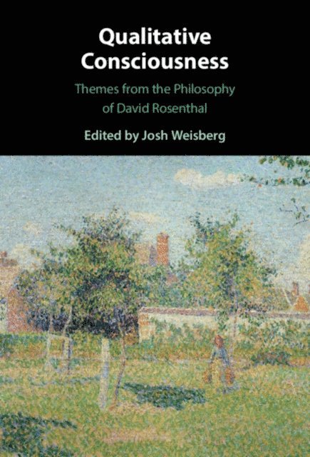 Josh Weisberg - Qualitative Consciousness, E-bok