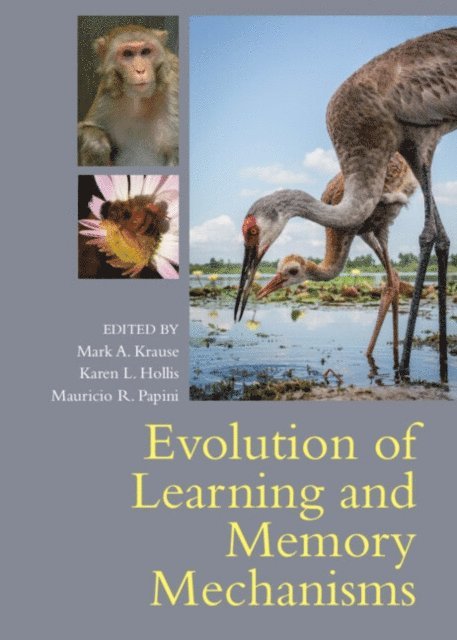 Mauricio R. Papini, Karen L. Hollis, Mark A. Krause - Evolution of Learning and Memory Mechanisms, E-bok