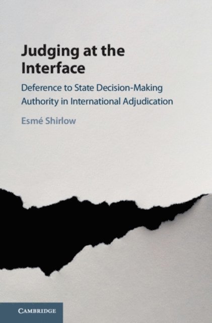 Esme Shirlow - Judging at the Interface, E-bok