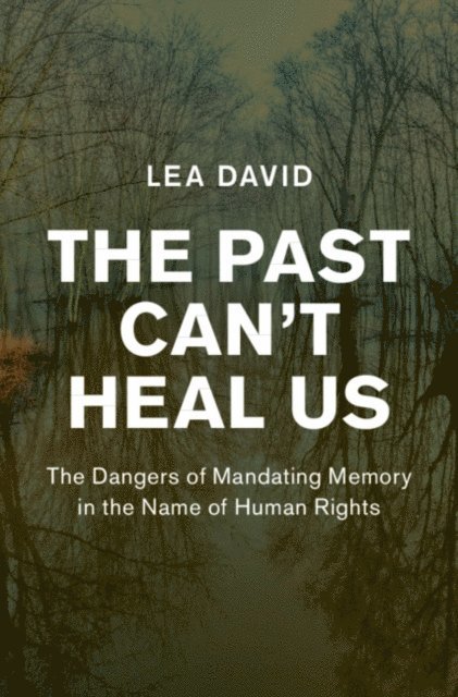 Lea David - Past Can't Heal Us, E-bok. Tillgänglighet: Lägg i varukorg