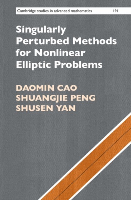 Shusen Yan, Shuangjie Peng, Daomin Cao - Singularly Perturbed Methods for Nonlinear Elliptic Problems, E-bok
